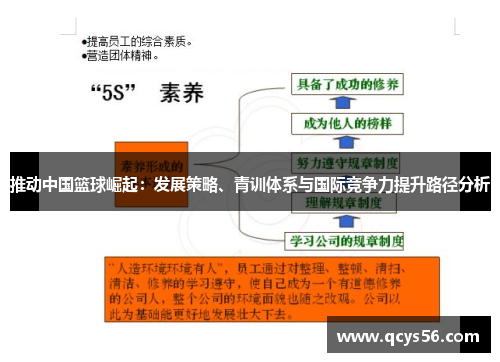 推动中国篮球崛起：发展策略、青训体系与国际竞争力提升路径分析