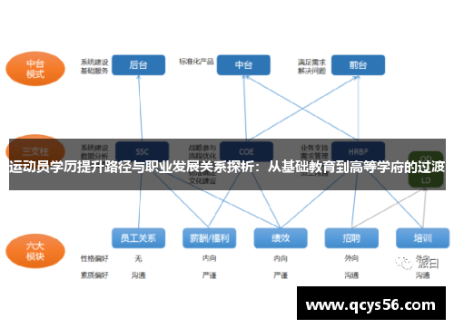运动员学历提升路径与职业发展关系探析：从基础教育到高等学府的过渡