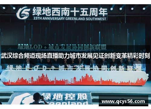 武汉综合频道现场直播助力城市发展见证创新变革精彩时刻